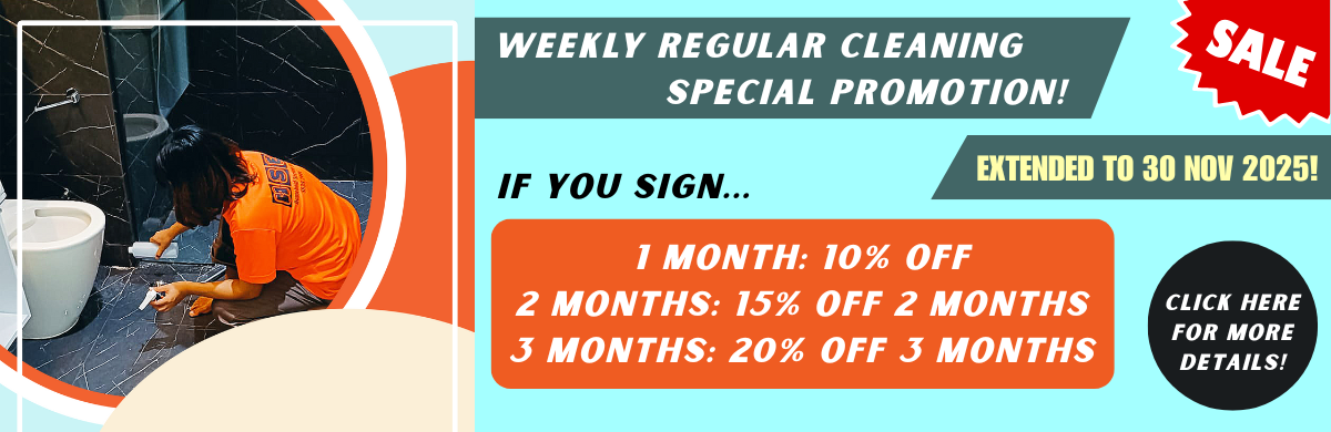 Regular Cleaning Promo